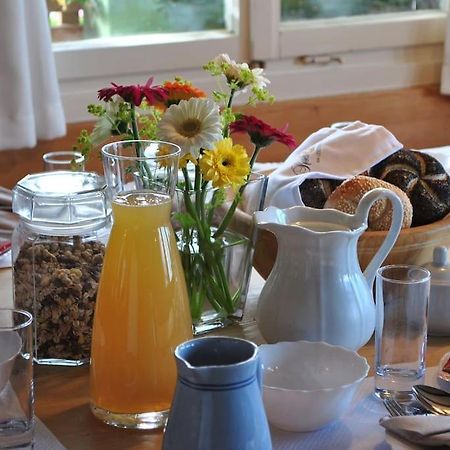 Grosszuegige Ferienwohnung Am Skigebiet Boedele Mit Rheintalblick دورنبيرن المظهر الخارجي الصورة